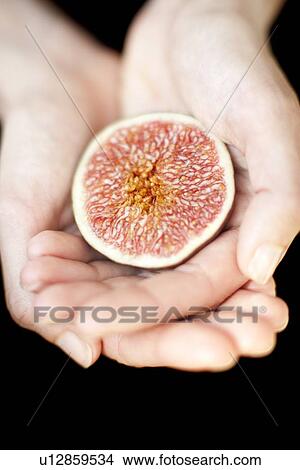 Stock Illustration - Fig. Fotosearch