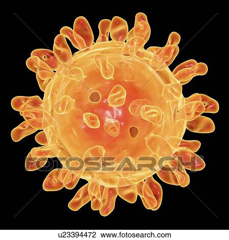 Foot-and-mouth disease virus View Large Illustration Drawing - Foot-and-mouth disease virus. Fotosearch