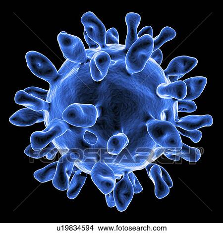 Stock Illustration - Foot-and-mouth disease virus. Fotosearch