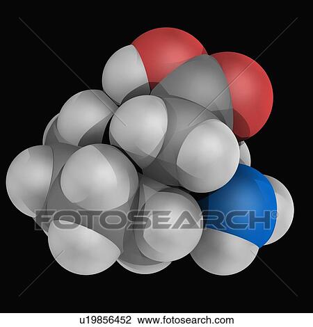 Drawing - Gabapentin drug molecule. Fotosearch