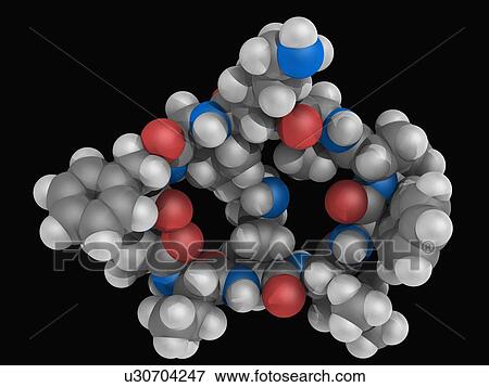 Gramicidin S drug molecule View Large Illustration Stock Illustration - Gramicidin S drug molecule. Fotosearch