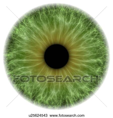 Drawing - Green eye, artwork. Fotosearch