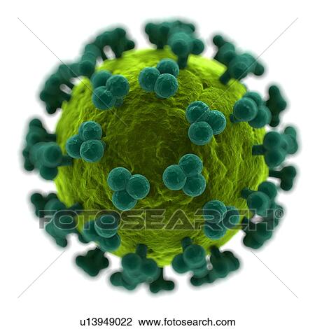 HIV particle, artwork View Large Illustration Drawing - HIV particle, artwork. Fotosearch