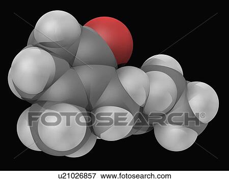 Jasmone molecule View Large Illustration Stock Illustration - Jasmone molecule. Fotosearch