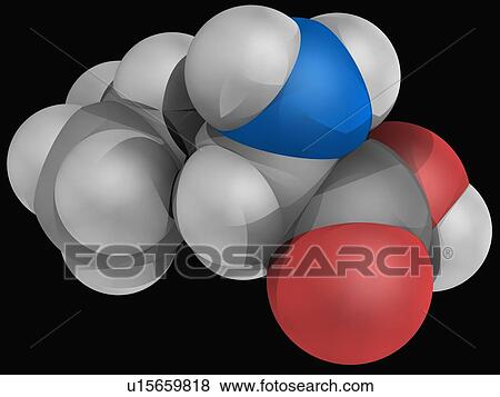 Stock Illustration - Leucine molecule. Fotosearch