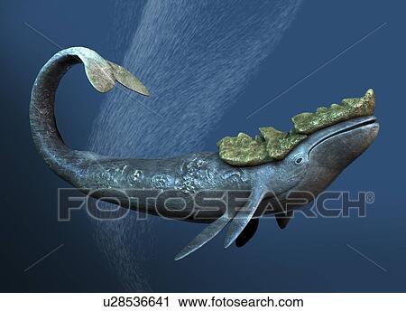 Clip Art - Leviathan sea monster, artwork. Fotosearch