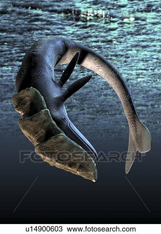 Leviathan sea monster, artwork View Large Illustration Drawing - Leviathan sea monster, artwork. Fotosearch