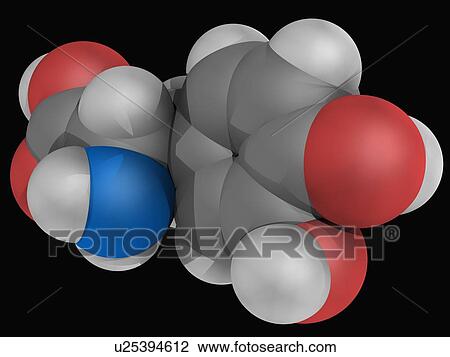 Levodopa L-DOPA drug molecule View Large Illustration Drawing - Levodopa L-DOPA drug molecule. Fotosearch