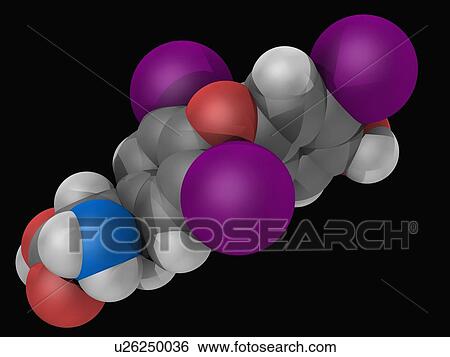 Liothyronine hormone molecule View Large Illustration Stock Illustration - Liothyronine hormone molecule. Fotosearch