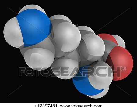 Lysine molecule View Large Illustration Clip Art - Lysine molecule. Fotosearch