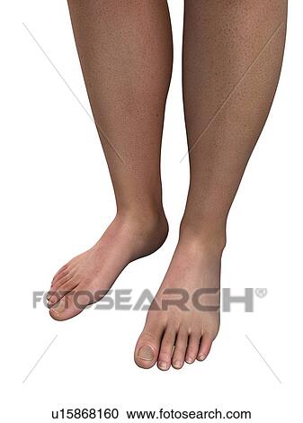 Male feet, artwork View Large Illustration Clipart - Male feet, artwork. Fotosearch
