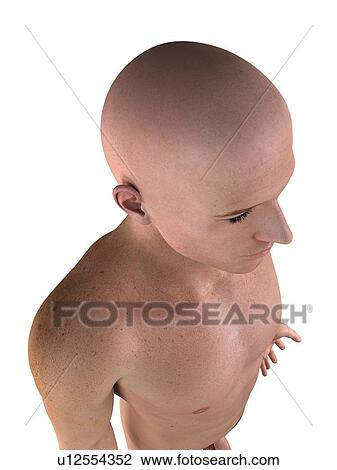 Male upper body, artwork View Large Illustration Drawing - Male upper body, artwork. Fotosearch