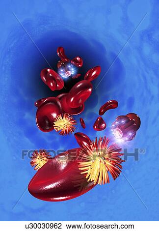 Medical nanorobots, artwork View Large Illustration Drawing - Medical nanorobots, artwork. Fotosearch