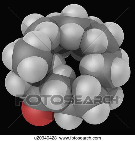 Stock Illustration - Muscone molecule. Fotosearch