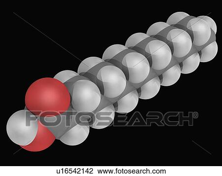 Drawing - Myristic acid molecule. Fotosearch
