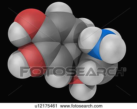 Norepinephrine molecule View Large Illustration Clip Art - Norepinephrine molecule. Fotosearch