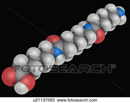 Drawing - Nylon molecule. Fotosearch