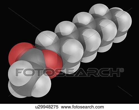 Octyl acetate molecule View Large Illustration Stock Illustration - Octyl acetate molecule. Fotosearch