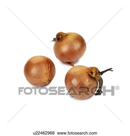 Onions View Large Illustration Stock Illustration - Onions. Fotosearch