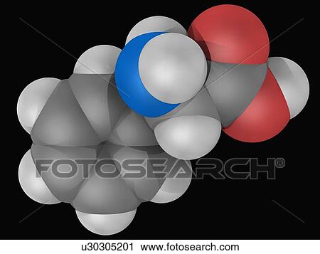 Clip Art - Phenylalanine molecule. Fotosearch