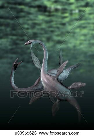 Drawing - Plesiosaurs fighting, artwork. Fotosearch