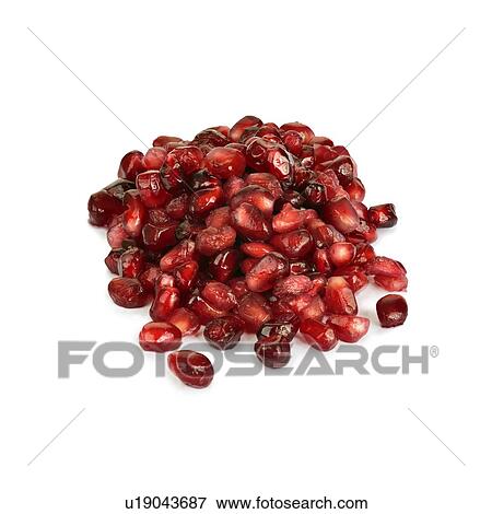 Stock Illustration - Pomegranate seeds. Fotosearch