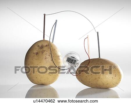 Drawing - Potato clock. Fotosearch