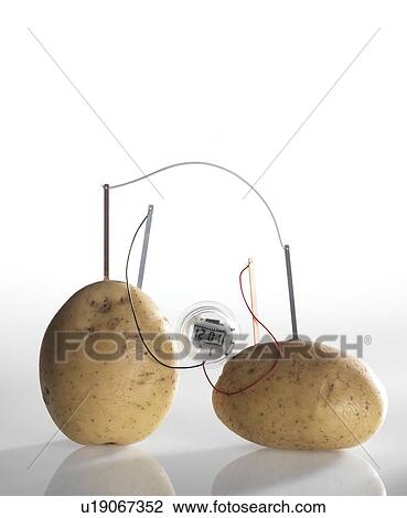 Potato clock View Large Illustration Drawing - Potato clock. Fotosearch