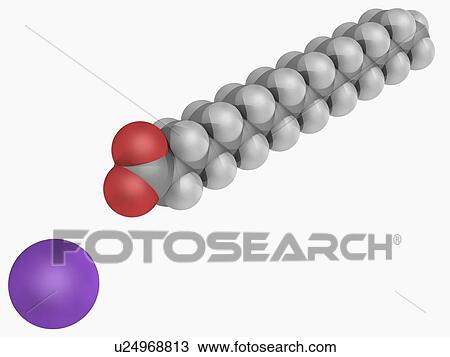 Drawing - Sodium stearate molecule. Fotosearch