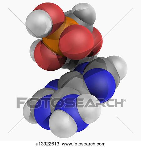 Drawing - Tenofovir drug molecule. Fotosearch