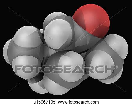 Thujone molecule View Large Illustration Stock Illustration - Thujone molecule. Fotosearch
