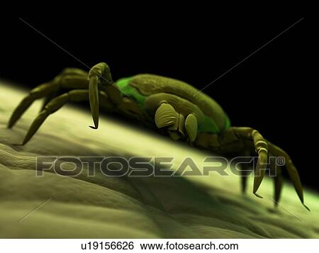 Tick, artwork View Large Illustration Stock Illustration - Tick, artwork. Fotosearch