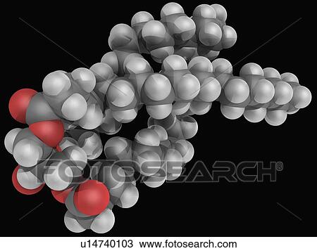 Triglyceride molecule View Large Illustration Drawing - Triglyceride molecule. Fotosearch
