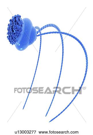 Tripod alien, conceptual artwork View Large Illustration Stock Illustration - Tripod alien, conceptual artwork. Fotosearch