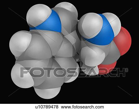 Tryptophan molecule View Large Illustration Stock Illustration - Tryptophan molecule. Fotosearch