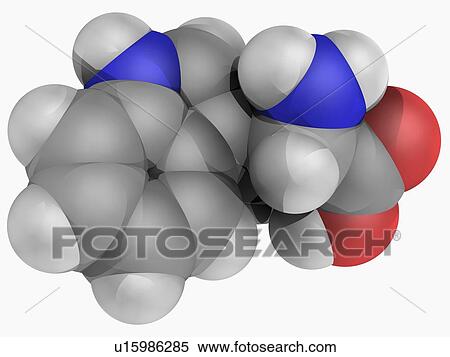 Tryptophan molecule View Large Illustration Stock Illustration - Tryptophan molecule. Fotosearch