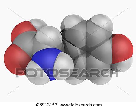 Tyrosine molecule View Large Illustration Drawing - Tyrosine molecule. Fotosearch