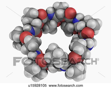 Valinomycin molecule View Large Illustration Stock Illustration - Valinomycin molecule. Fotosearch