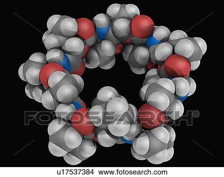 Valinomycin molecule View Large Illustration Stock Illustration - Valinomycin molecule. Fotosearch