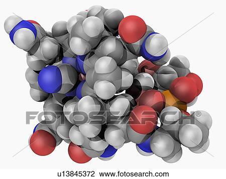 Vitamin B12 cobalamin molecule View Large Illustration Drawing - Vitamin B12 cobalamin molecule. Fotosearch
