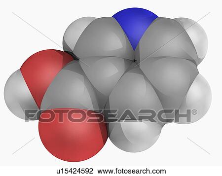 Drawing - Vitamin B3 nicotinic acid molecule. Fotosearch