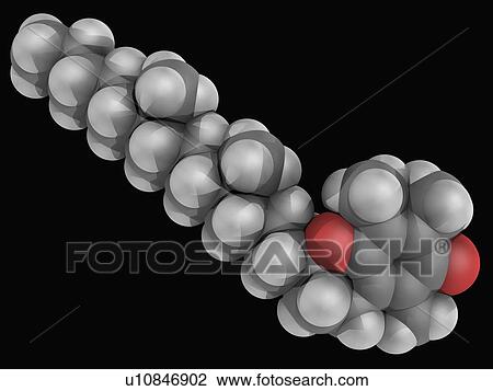Vitamin E molecule View Large Illustration Drawing - Vitamin E molecule. Fotosearch