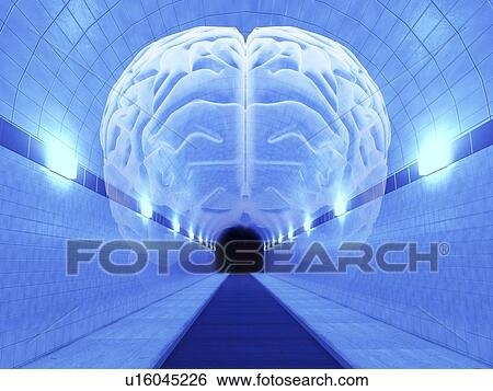 脳 中に トンネル 心理上である 州 イラスト U Fotosearch