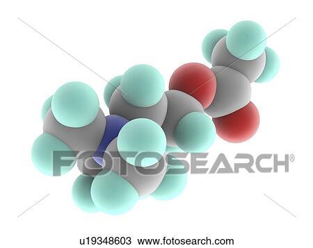 Acetylcholine molecule View Large Illustration Drawing - Acetylcholine molecule. Fotosearch
