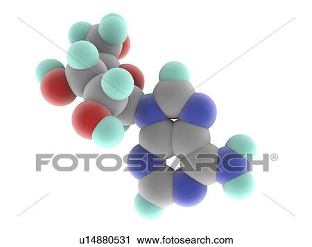 Clip Art - Adenosine molecule. Fotosearch