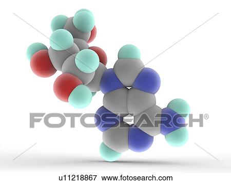 Adenosine molecule View Large Illustration Stock Illustration - Adenosine molecule. Fotosearch