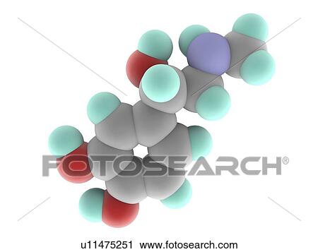 Adrenaline epinephrine molecule View Large Illustration Clip Art - Adrenaline epinephrine molecule. Fotosearch