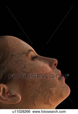 Stock Illustration - Ageing, conceptual artwork. Fotosearch