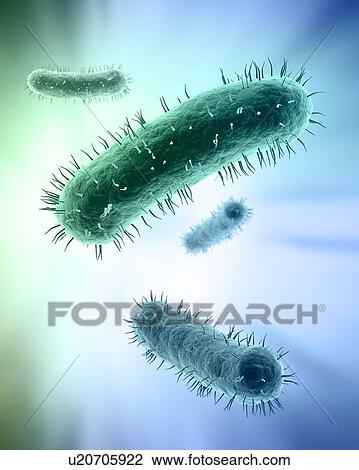 Drawing - Bacteria, artwork. Fotosearch