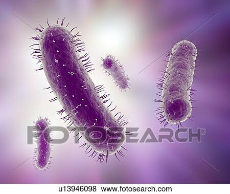 Stock Illustration - Bacteria, artwork. Fotosearch